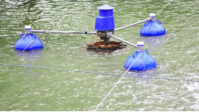 3 PS kommerzieller Aquakultur- – Fish Pond Aerator Bewertung und Preis