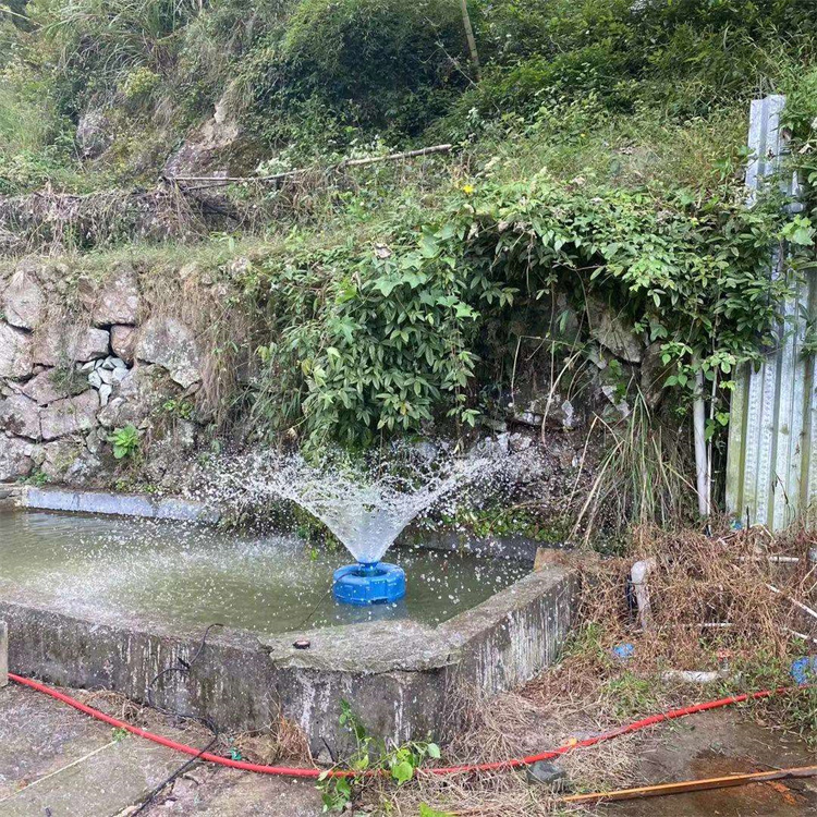 Solarbetriebener Belüfter mit  – Fish Pond Aerator Bewertung und Preis